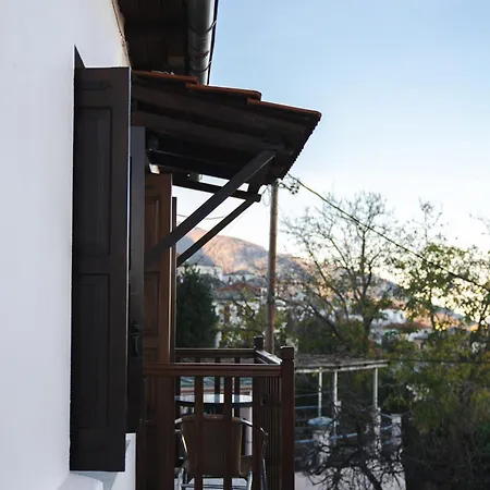 Pelion Experience 别墅